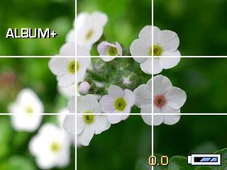 Zaawansowana obsługa aparatu SCN Zastosowanie [Program tematyczny] Flower [Kwiat] Makrofotografie kwiatów lub innych małych przedmiotów w jasnym świetle.