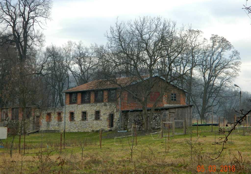oficyna. Fot. nr 266.