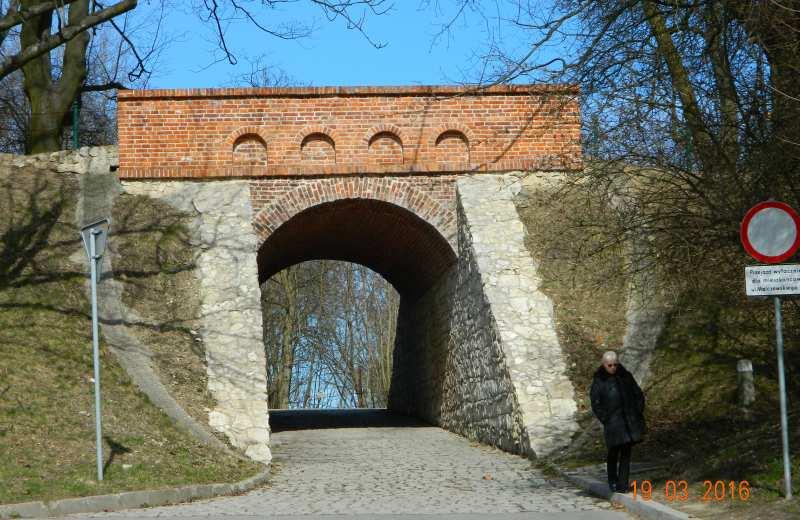 resztki wału i fosy. Fot. nr 65 (65-66).
