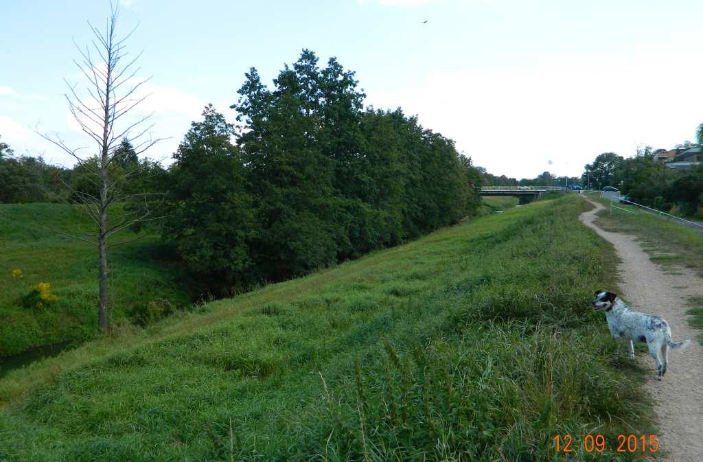 92 Fot. nr 175.