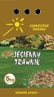 renowacyjna,