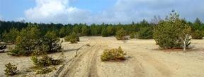 wieków pod względem geologicznym nie działo się tu nic istotnego, aż do momentu, gdy 10 tys. lat temu, w wyniku znacznego ocieplenia klimatu, na jałowej ziemi zaczęły wyrastać pierwsze rośliny.