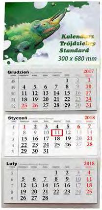 Kalendarze Trójdzielne STANDARD Plecki (Podkład): Format: 300x470mm Rodzaj papieru: karton 300g Doklejka reklamowa: Format: