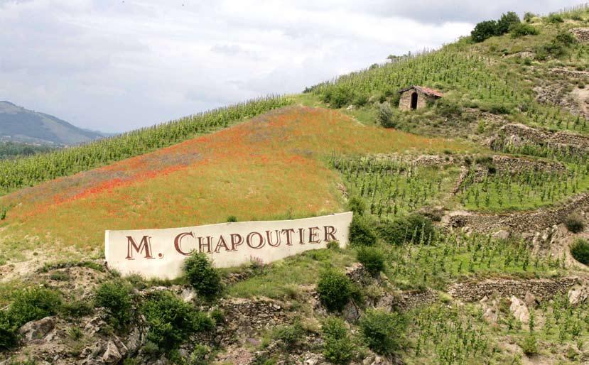 Châteauneuf-du-Pape La Bernardine 2014 Kraj / region: Francja / Dolina Rodanu Producent: M.