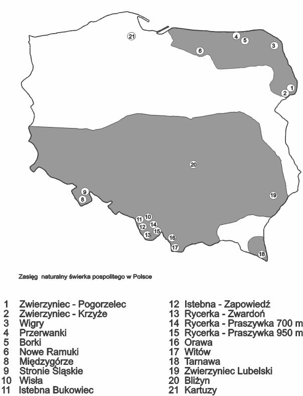 Wnioski: 1. Zróżnicowanie cech przyrostowych polskich populacji świerka na powierzchni w Knyszynie jest stosunkowo duże. Wszystkie analizowane cechy różnicują populacje statystycznie. 2.