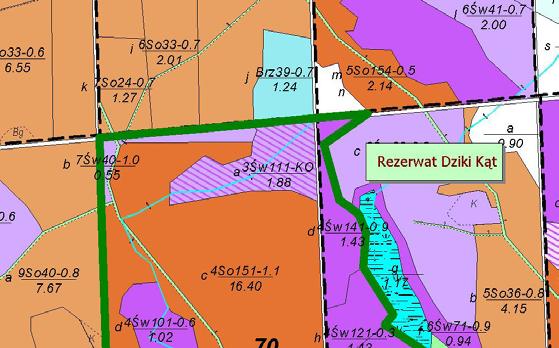Obiekt II. REZERWAT DZIKI KĄT Rezerwat utworzony został na mocy Zarządzenia Ministra Leśnictwa i Przemysłu Drzewnego z dnia 23 stycznia 1973 r., (M.P. Nr 5, poz. 38 p.11).