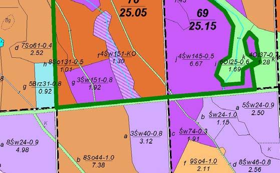 Ogólna powierzchnia rezerwatu wynosi 34,65 ha. Dominującym zespołem na terenie rezerwatu jest zbiorowisko określone jako bór iglasty wilgotny Myceli-Piceetum*.