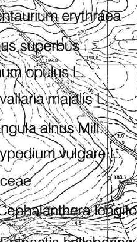 MIEJSCOY PLAN ZAGOSPODAROANIA PRZESTRZENNEGO DLA OBR BU