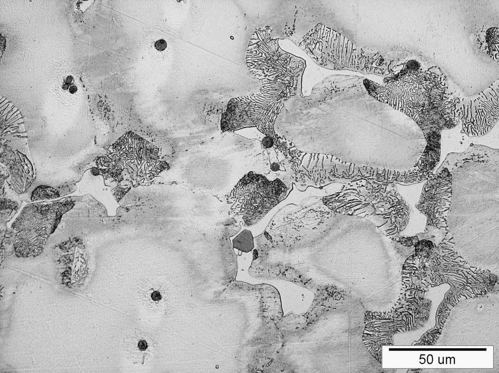 niecigłej midzymetalicznej fazy Mg 17 Al 12 w formie płytkowej umiejscowionej głównie na granicach ziarn (rys. 2a