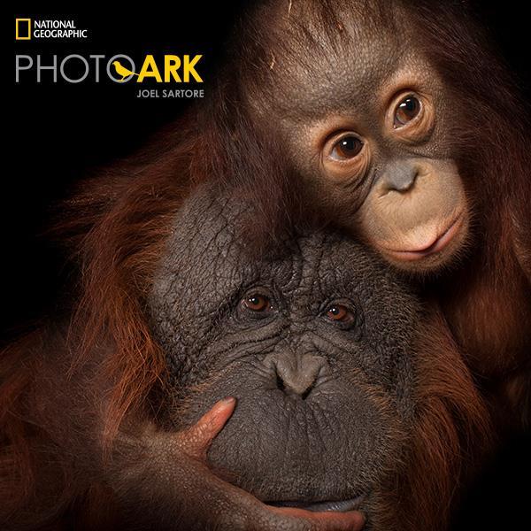 O P R O J E K C I E P H O T O A R K Wystawa PhotoArk, pod roboczym tytułem: National Geographic PhotoArk. Wystawa ginących gatunków. Ratujmy razem!
