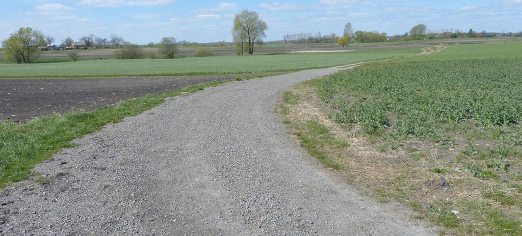 Gmina Chełm - Lider Inwestycji Liderzy inwestycji to tytuł niezależnego rankingu opublikowanego przez pismo samorządu terytorialnego Wspólnota. Autorami rankingu są prof.