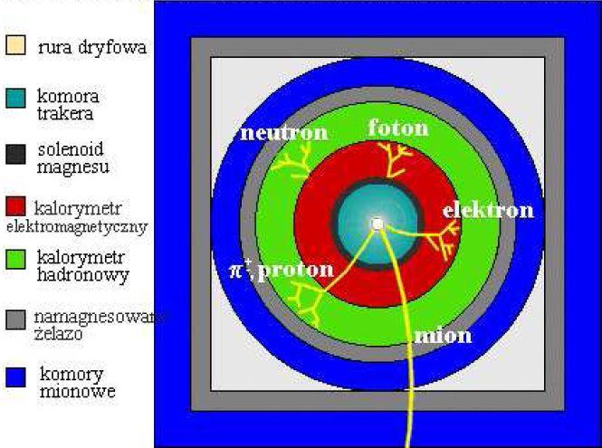 Kalorymetry elmgt s" mniejsze