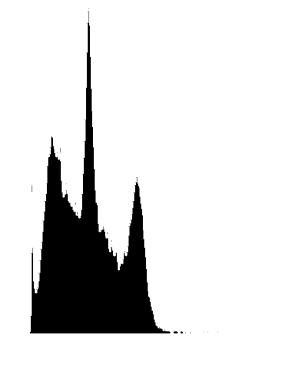 4% 250 B C D 125 G 1-47% S - 19% G 2-34% Apo - 23% 100 50 G 1-42% S - 18% G 2-40% Apo - 44%