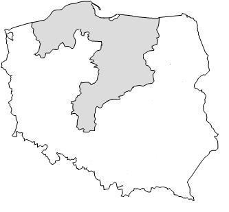 Podstawowe informacje: 2.5+ mln gospodarstw domowych 290 tys. odbiorców przemysłowych 0.
