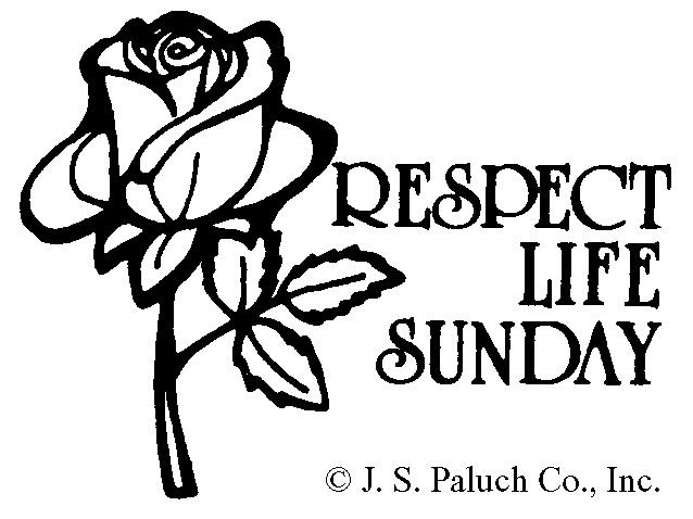 Peise Eucharistic Ministry: P. Hildebrandt 08:00 am Lector: D. Kaczmarzyk 09:30 am Lector: D. Spina Eucharistic Ministry: A, Lesniewska P. Muraski 11:00 am Lector: S. Mazurkiewicz 12:30 pm Lector: M.