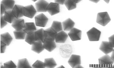 FOTOCHEMICZNA SYNTEZA NANOCZĄSTEK SREBRA I ZŁOTA 189 4.3.