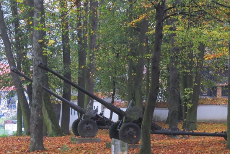 jakiś sznurek Myszka kotu gra na