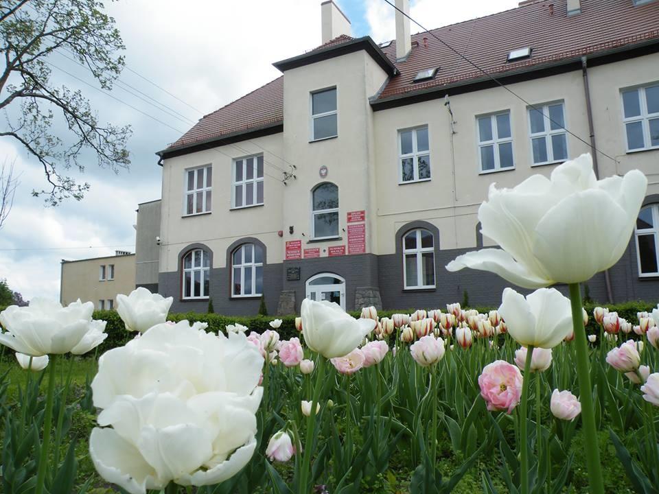 .pl https://www.