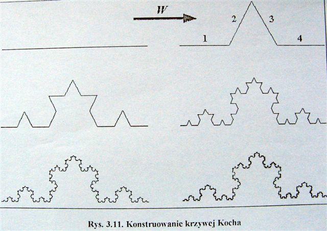 Paradoksy matematyczne Krzywa Kocha Jerzy