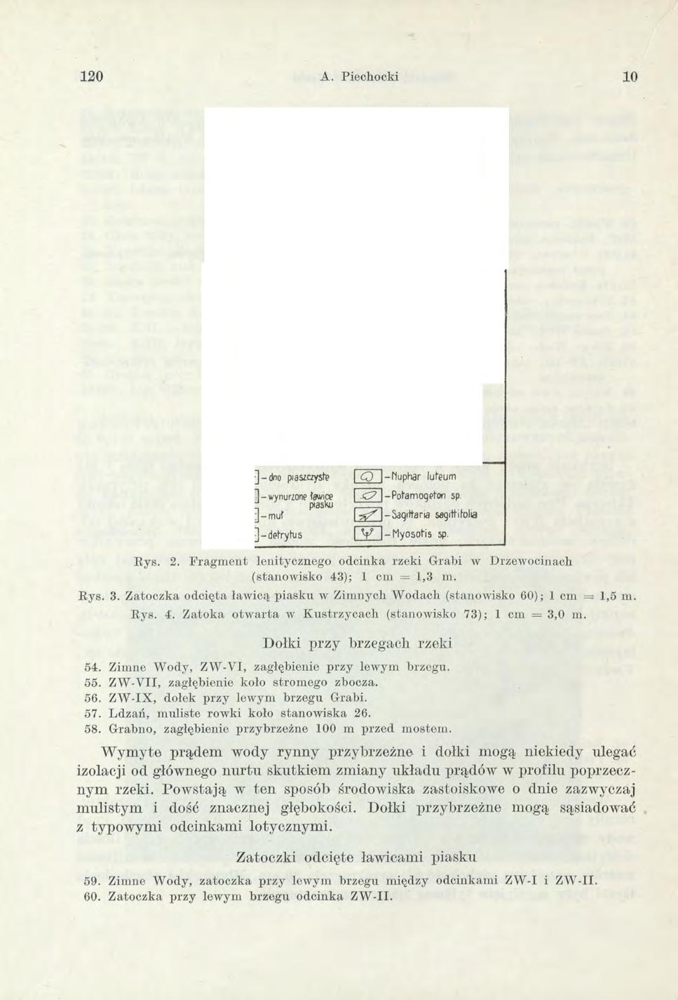 120 A. Piechocki 10 ]-d n o piaszczyste 1 - wynurzone tpwice ^ piasku ] - m u t ] detrytus O 1-Huphar luteum -C7 l-potamogetnn sp. I ^ ' 1 -Saqittana sajittitola f V 1-Myosotis sp. R ys. 2.