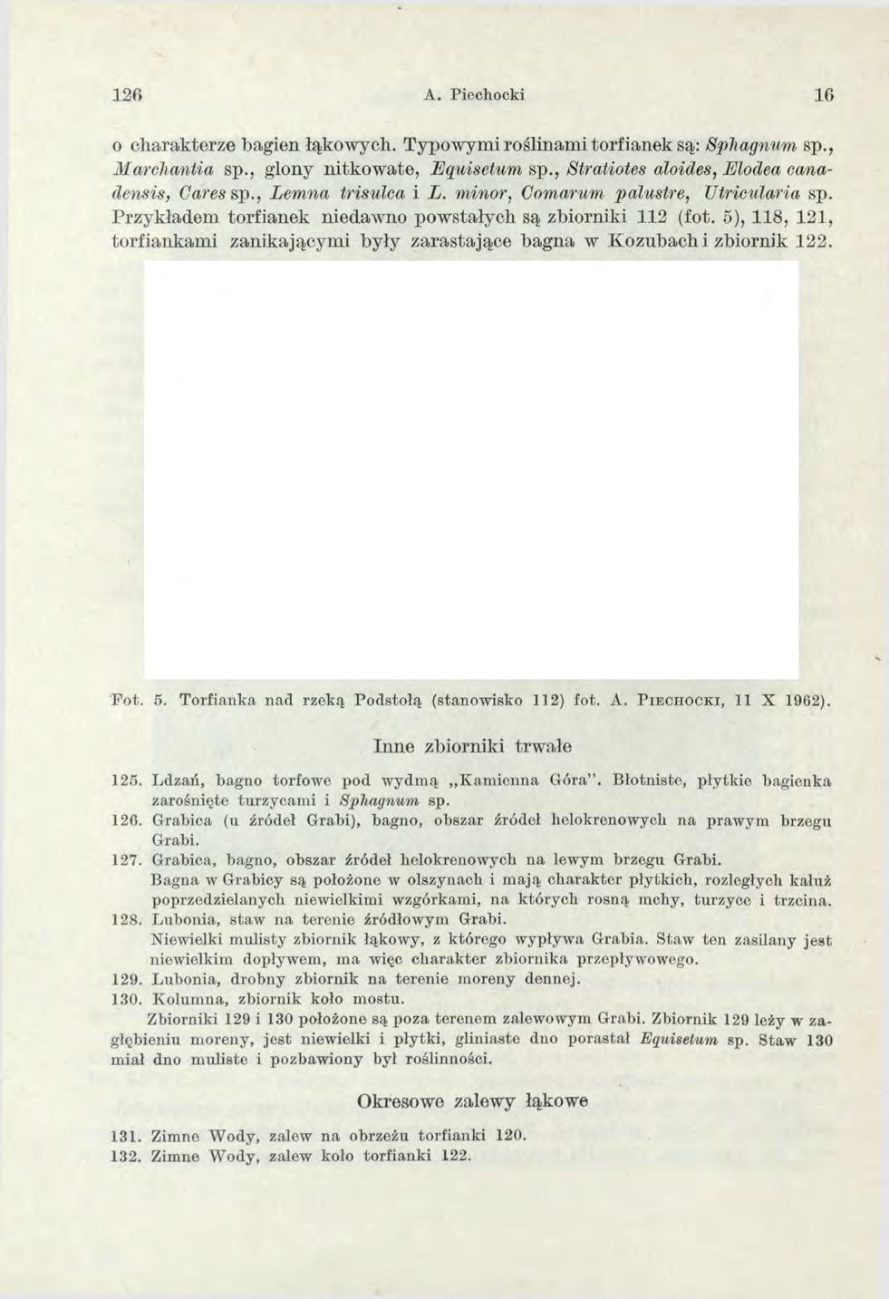126 A. Piechocki 10 o charakterze bagien łąkowych. Typowymi roślinam i torfianek są: Sphagnum sp., Marchantia sp., glony n itkow ate, Eąuisetum sp., Stratiotes aloides, Elodea canadensis, Cares sp.