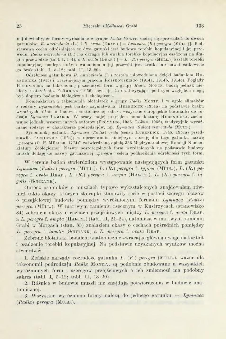 23 Mięczaki (M ollusca) Grabi 133 nej dow iodły, że form y w yróżniane w grupie R a d ix M o n t f. dadzą się sprow adzić do dw óch g a tu n k ó w : R. auricularia (L.) i R. orała (D ra p.