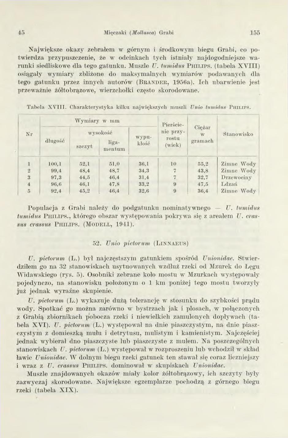 45 Mięczaki (Mollusc,a) Grabi 155 N ajw iększe okazy zebrałem w górnym i środkow ym biegu Grabi, co p o tw ierdza przypuszczenie, że w odcinkach ty ch istniały najdogodniejsze w a runki siedliskowe