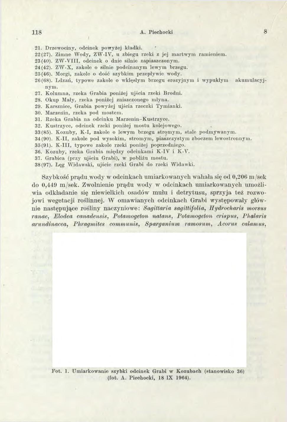 118 A. Piechocki 8 21. D rzew ociny, odcinek pow yżej k ładki. 22(27). Z im ne W ody, Z W -IV, u zbiegu rzeki z jej m artw y m ram ieniem. 23(40). Z W -V III, odcinek o dnie silnie zapiaszczonym.
