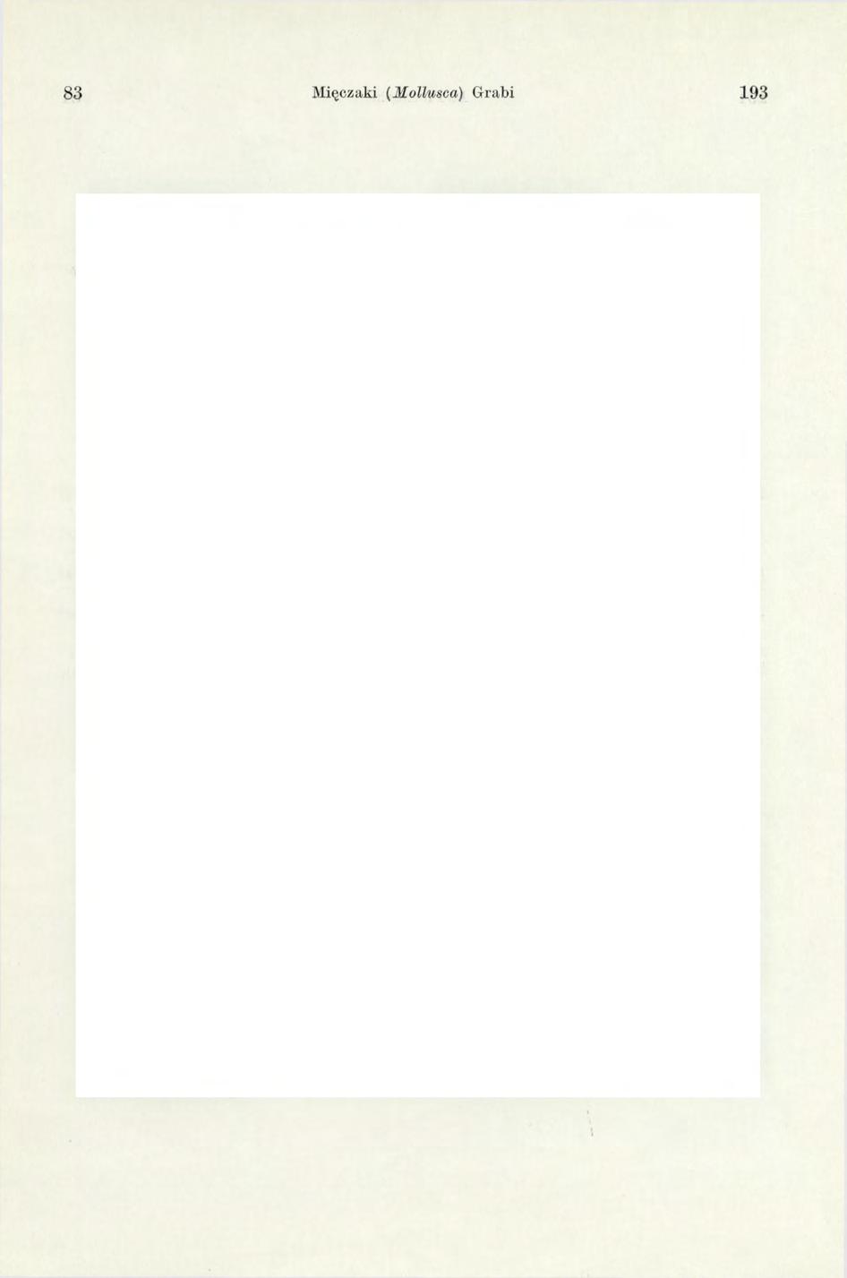 83