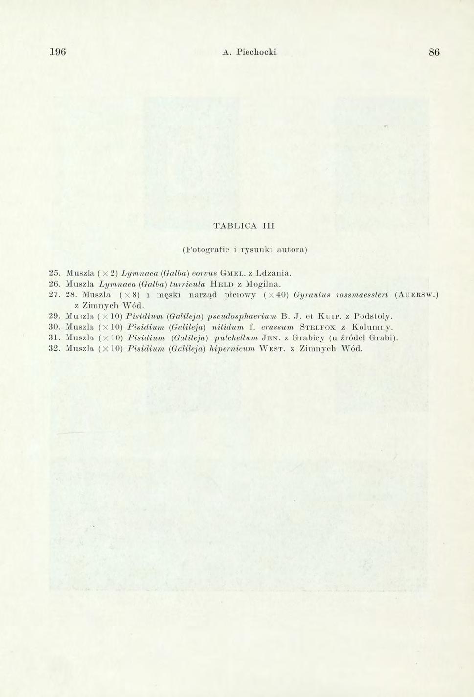 196 A. Piechocki 86 T A B L IC A I I I (F o to g rafie i ry su n k i au to ra) 25. M uszla ( x 2) L ym naea (Galba) corvus G m e l. z L dzania. 26.