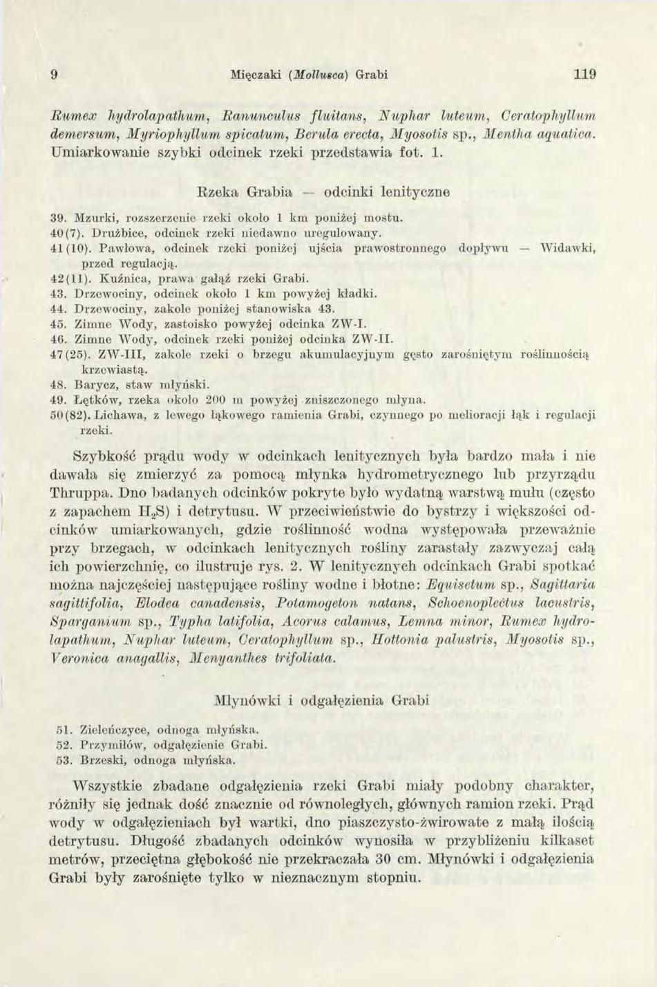 9 Mięczaki (M ollusca) Grabi 119 Rumex hydrolapathum, Ranunculus fluitans, Nuphar luteum, Geratophyllum demersum, Myriophyllum spicatum, Berula erecta, Myosotis sp., Mentha aquatica.