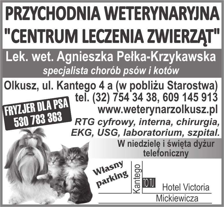 Nr 28 1220 10 Lipca 2015 Taxi Czynny 24h W Olkuszu Dojazd Gratis