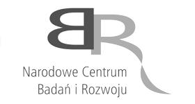 Programy strategiczne w zakresie energii skierowanej. Materiał przygotowany przez Mariusza Łuszczyka, Dyrektora Biura Rozwoju Biznesu w PIT-RAD