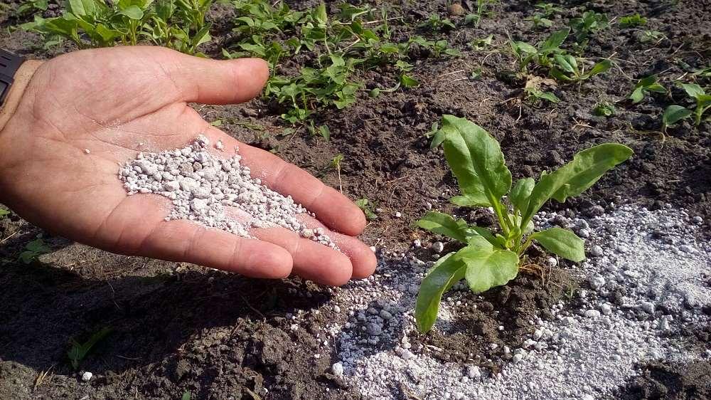GRUNTEX LWiK Organiczno mineralny środek nawozowy: gwarantuje zmniejszenie deficytu substancji organicznej w ziemi uprawnej