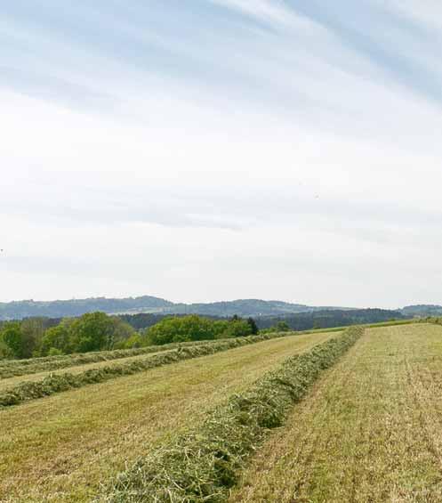 Dane techniczne / wyposażenie EUROPROFI COMBILINE 4510 L 4510 D 5010 L 5010 D Pojemność
