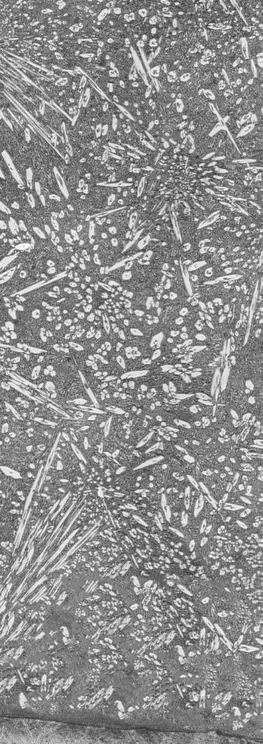 Produkcja płyt kompozytowych COROPLATE π (metoda Powder Injection) 5,5 [mm] 5,0 Zalety metody Powder Injection: a/ Wysoka zawartość węglików pierwotnych, występujących w całym przekroju napawania aż