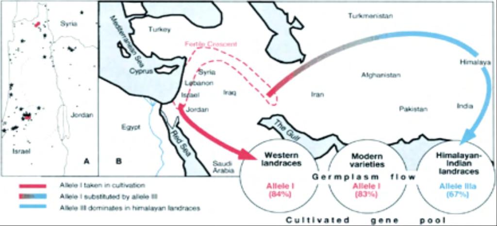 tysięcy lat temu (kultura Natufijska - 10500-8200 pne.).