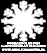 Patronat Wszystkie zawody które otrzymały prawo organizacji Pucharu Polski PZN (zwanym dalej PP PZN) amatorów w biegach narciarskich zostały objęte Patronatem PZN.
