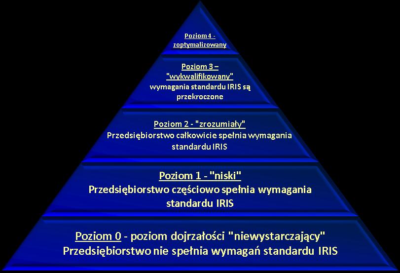 Skala ocen przydzielana dla 250 pytań kontrolnych standardu IRIS Fig. 3.