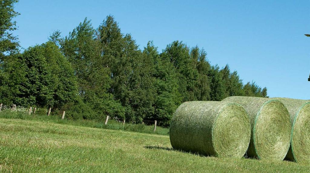 Różnej wielkości bele dzięki zmiennej komorze prasowania Bele o średnicy do 1,80m Różnorodne możliwości zastosowania i wysokie wykorzystanie przyczyniają się do