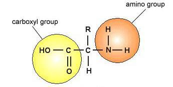 jedynie grupą chemiczną w po