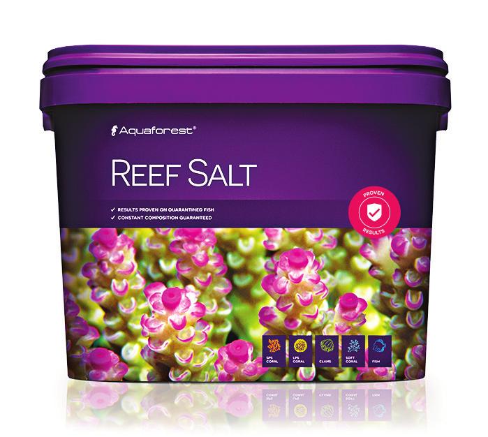 Sea Salt To nasz podstawowy produkt.