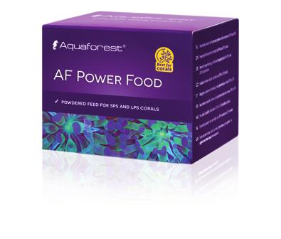 AF Power Food Proszkowy pokarm przeznaczony głównie dla koralowców SPS oraz LPS. Wspiera ich wzrost oraz prawidłowy rozwój.