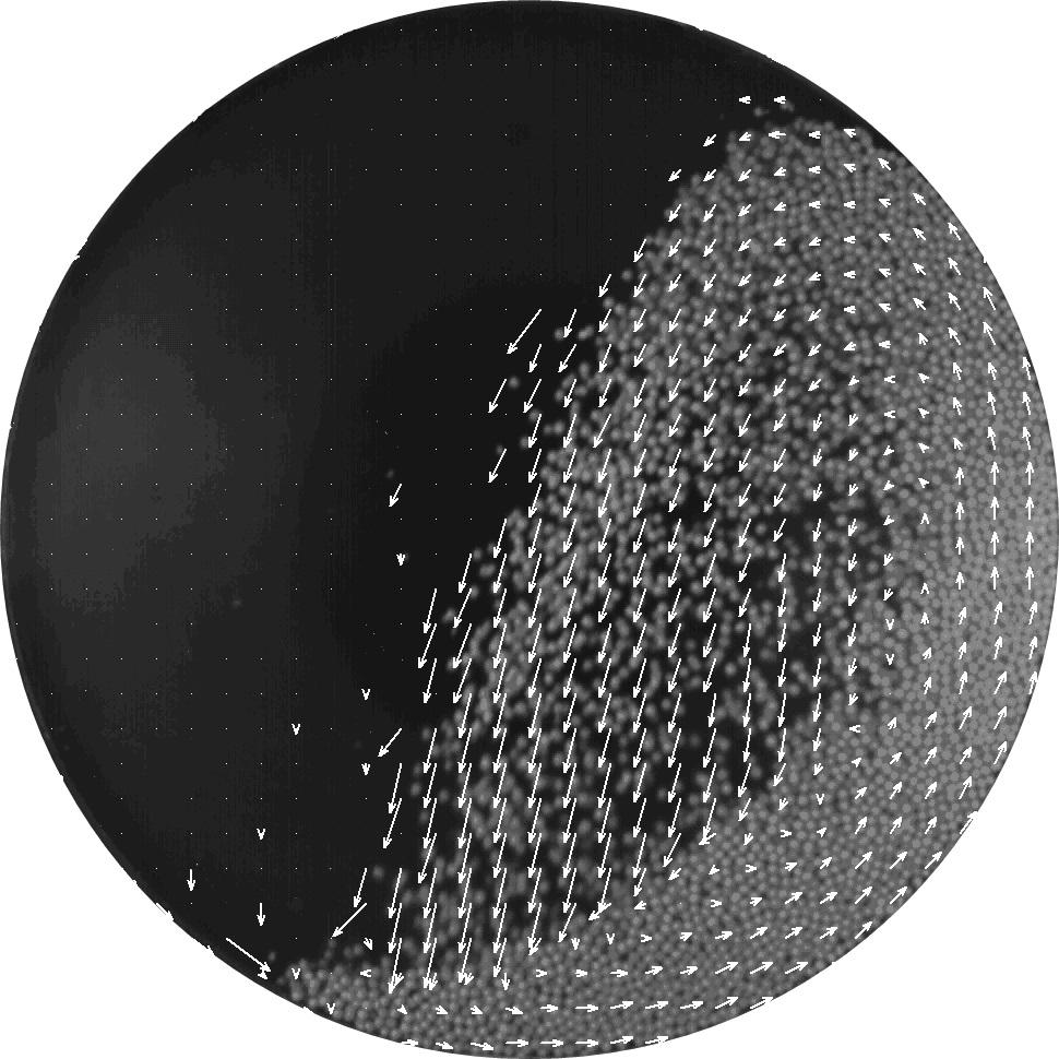 Characteristic behavior of the bed for the fill-in-degree of 25% Toczenie