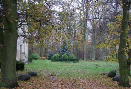 Park porastają głównie gatunki drzew liściastych, takich jak: dąb szypułkowy, kasztanowiec, lipa drobnolistna, czy