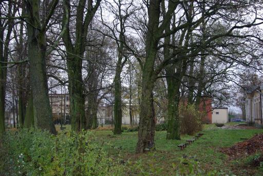 Dziennik Urzędowy Województwa Łódzkiego 28 Poz. 3387 Park dworski w Woli Bykowskiej Fot. 12-13.