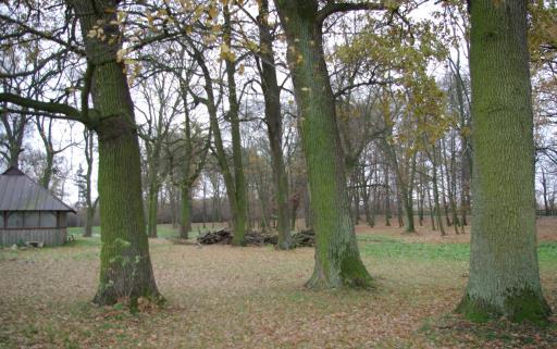 Od północy park ogranicza droga asfaltowa, natomiast od zachodu zabudowania gospodarcze.