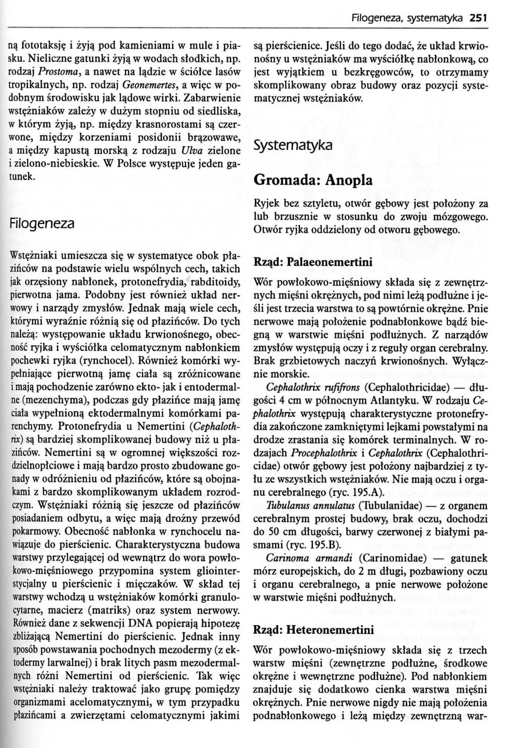 Filogeneza, systematyka 251 n$ fototaksj? i zyjq pod kamieniami w mule i piasku. Nieliczne gatunki zyja. w wodach slodkich, np. rodzaj Prostoma, a nawet na la^dzie w sciolce lasow tropikalnych, np.
