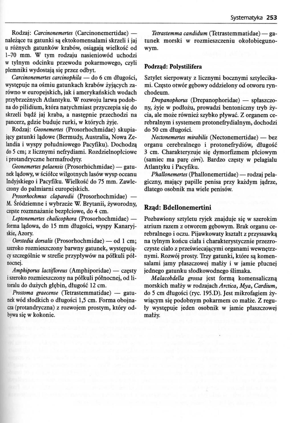 Systematyka 253 Rodzaj: Carcinonemertes (Carcinonemertidae) nalez^ce tu gatunki sa, ektokomensalami skrzeli i jaj u roznych gatunkow krabow, osia_gaja_ wielkosc od 1-70 mm.