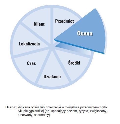 ICNP model